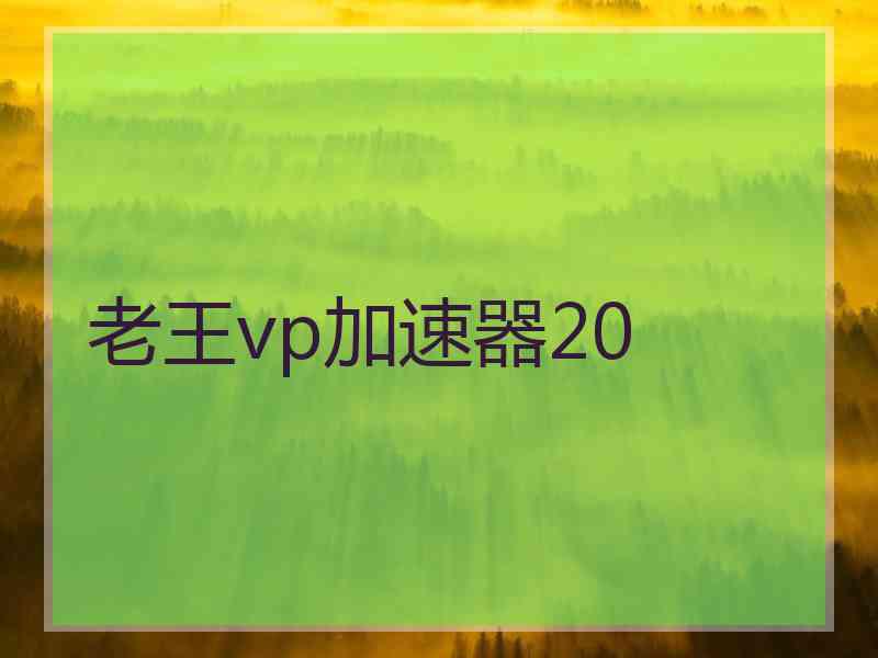 老王vp加速器20