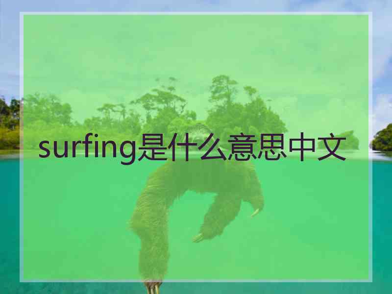 surfing是什么意思中文