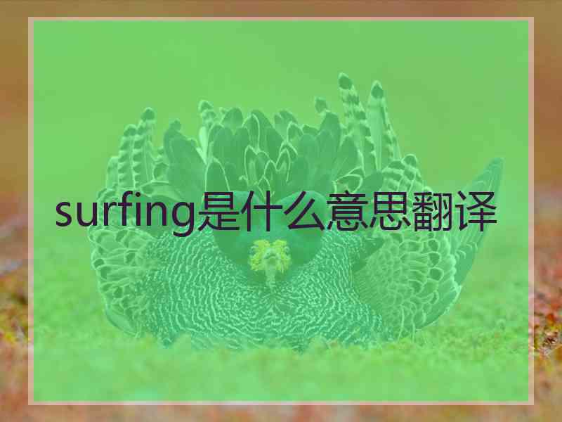 surfing是什么意思翻译