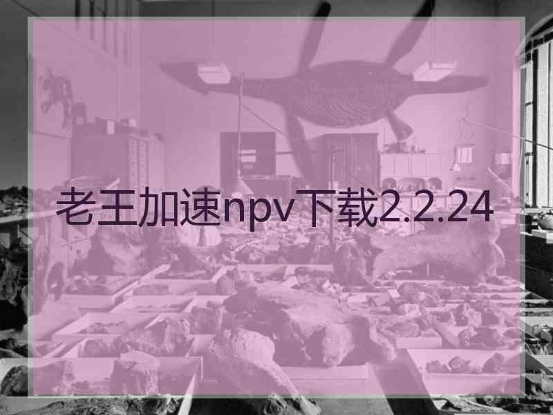 老王加速npv下载2.2.24
