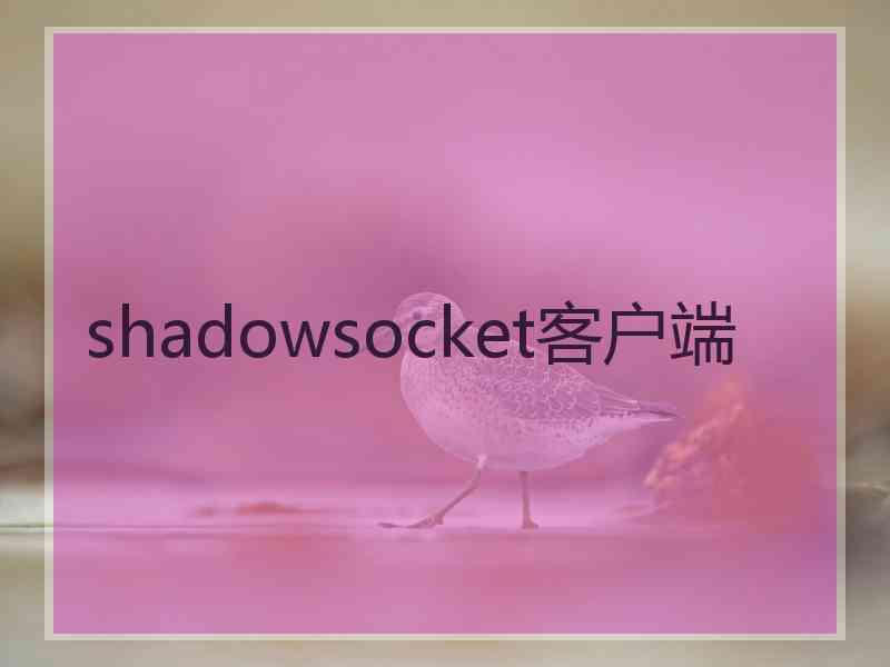 shadowsocket客户端