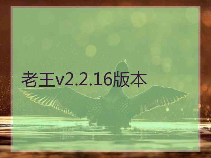 老王v2.2.16版本