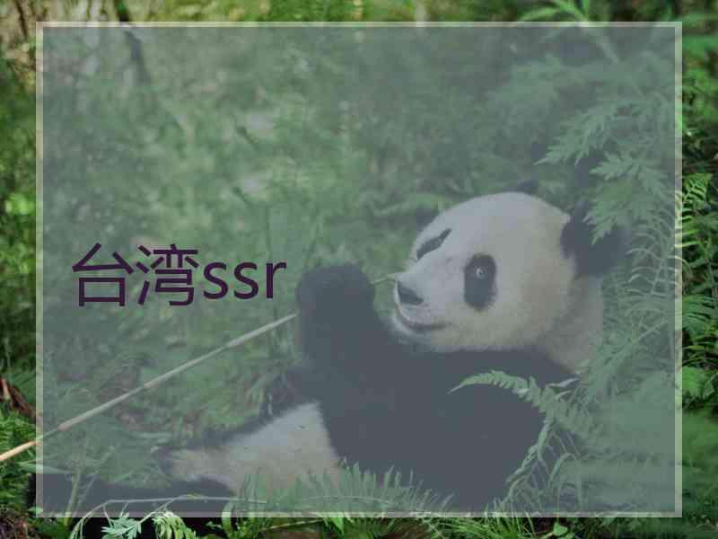 台湾ssr