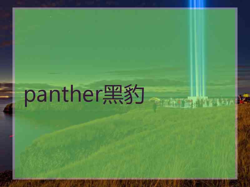 panther黑豹