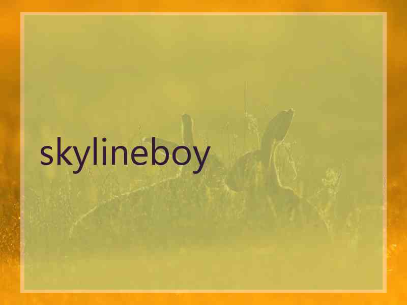 skylineboy