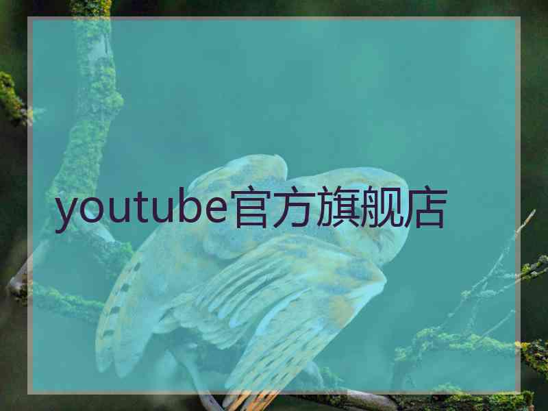 youtube官方旗舰店