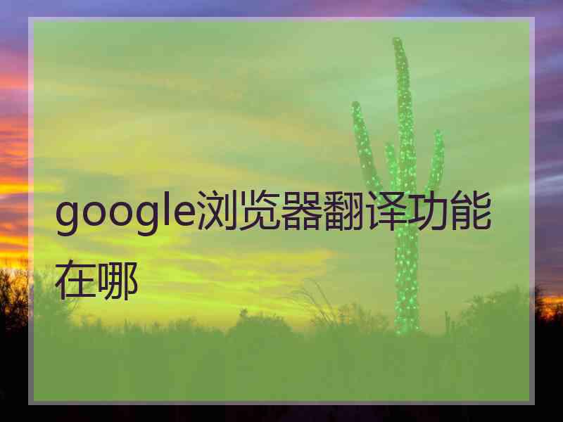 google浏览器翻译功能在哪