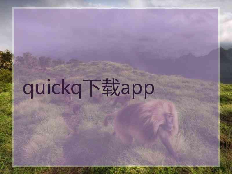 quickq下载app