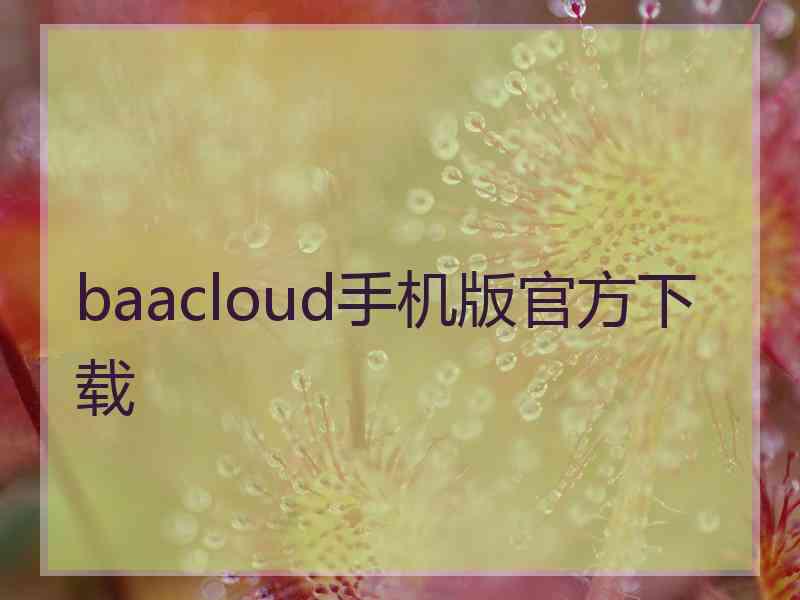 baacloud手机版官方下载