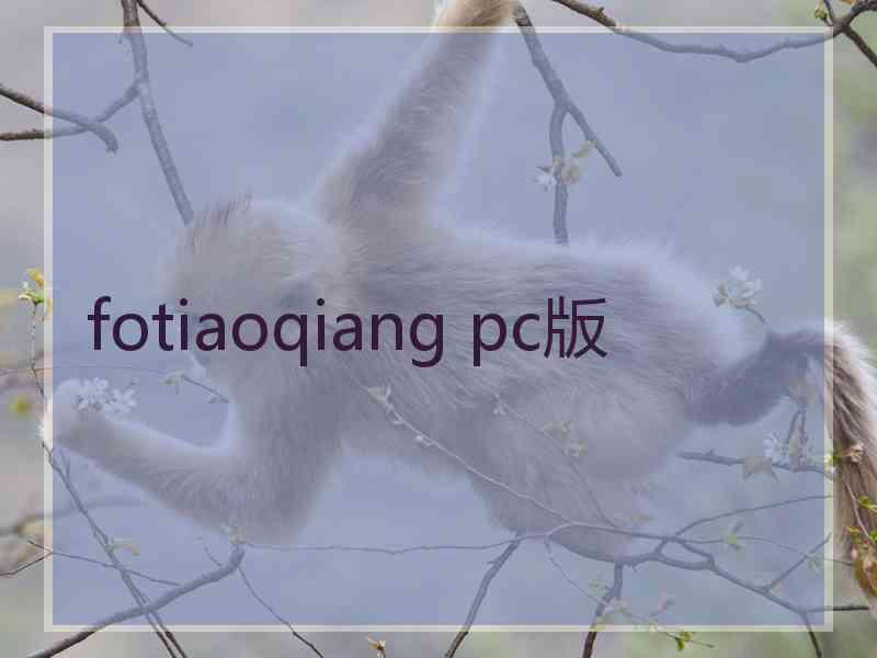 fotiaoqiang pc版