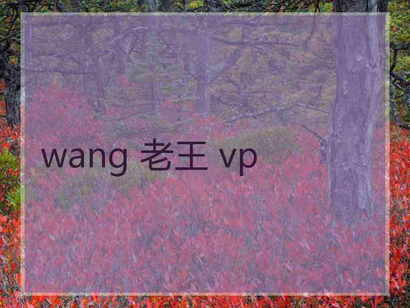 wang 老王 vp
