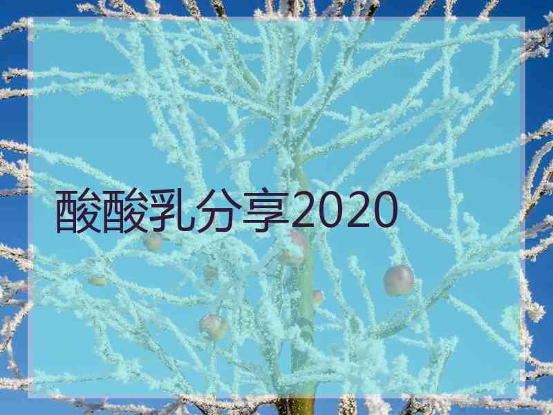 酸酸乳分享2020