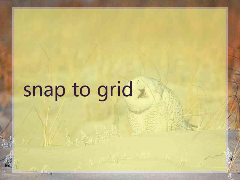 snap to grid