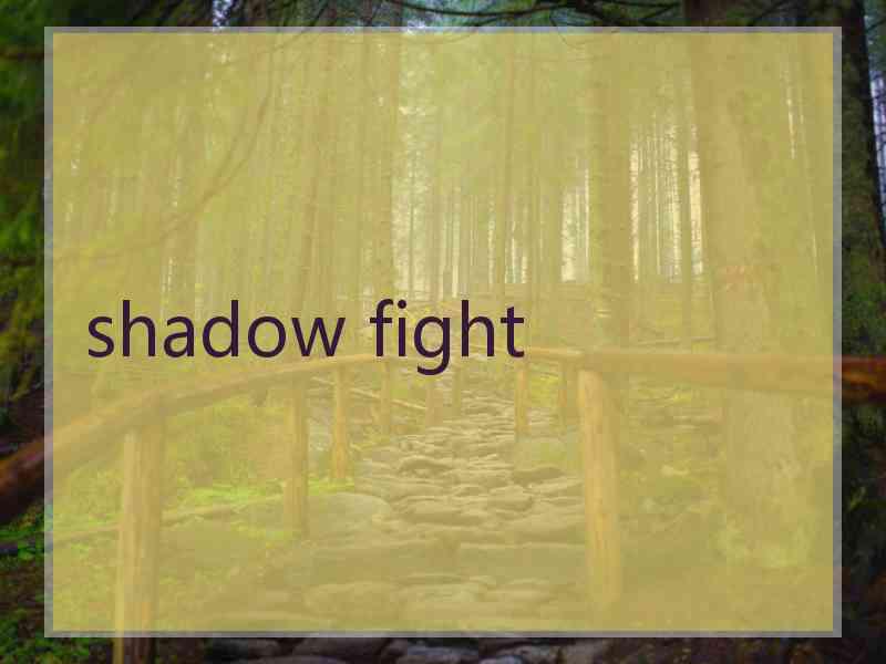 shadow fight
