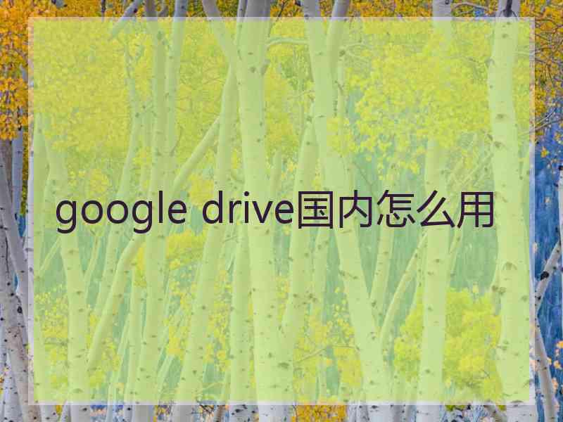 google drive国内怎么用